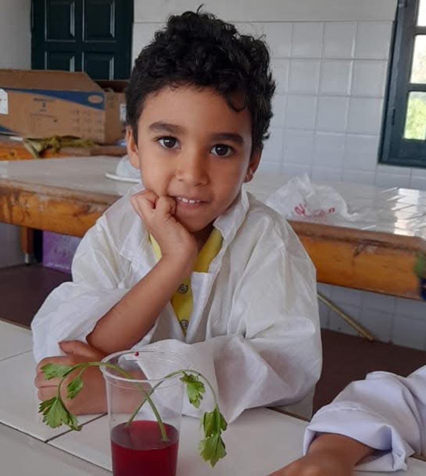 ele_0002_elementary(2)