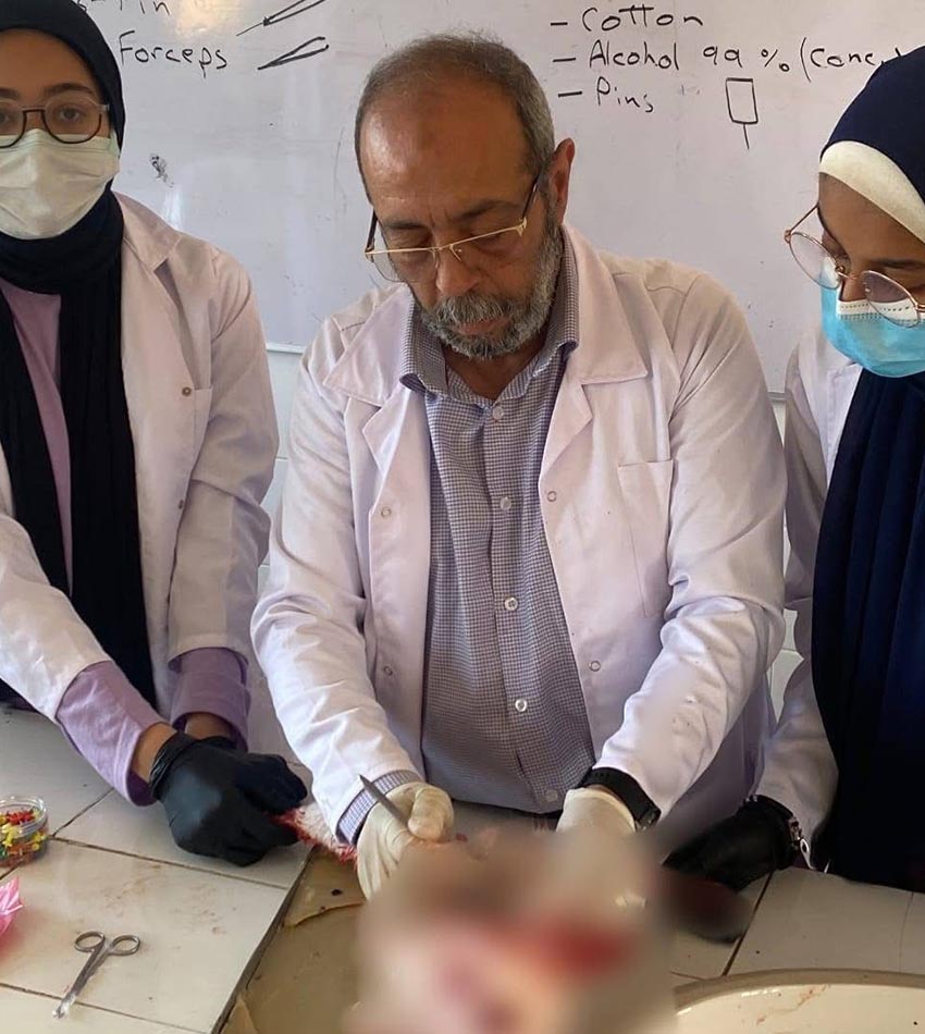 high_0001_high school(1)